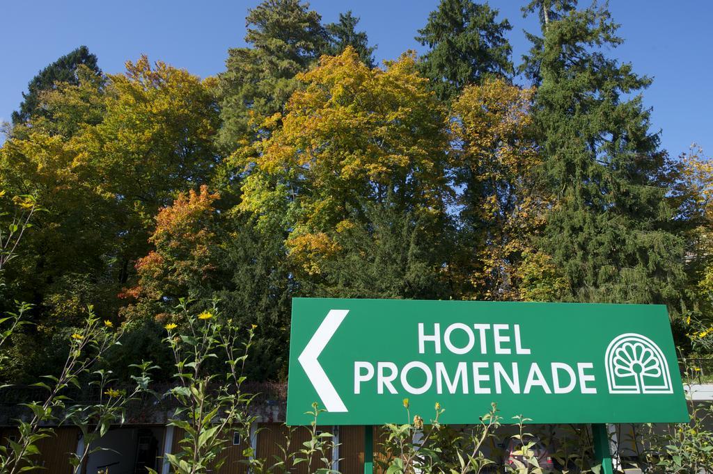 שאפהאוזן Hotel Promenade מראה חיצוני תמונה