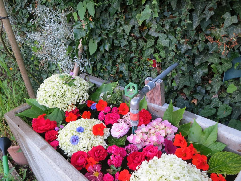 שאפהאוזן Hotel Promenade מראה חיצוני תמונה